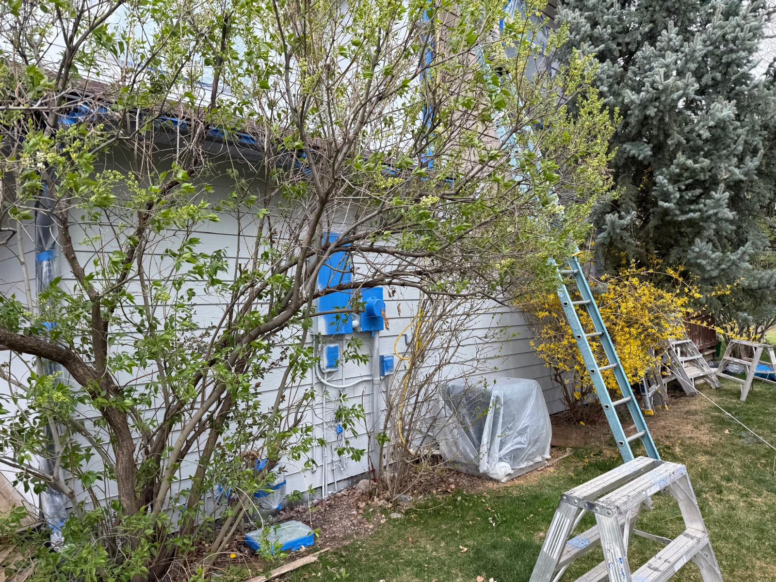 Ladders, drop cloths and masked fixtures staged along a home exterior before painting