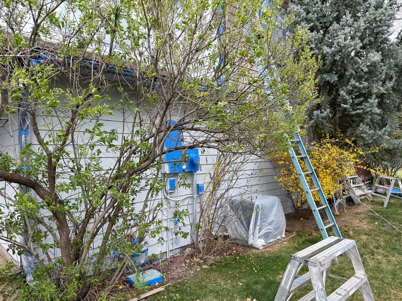 Close-up of freshly painted siding and trim detail along the side of the home, landscaping still in progress